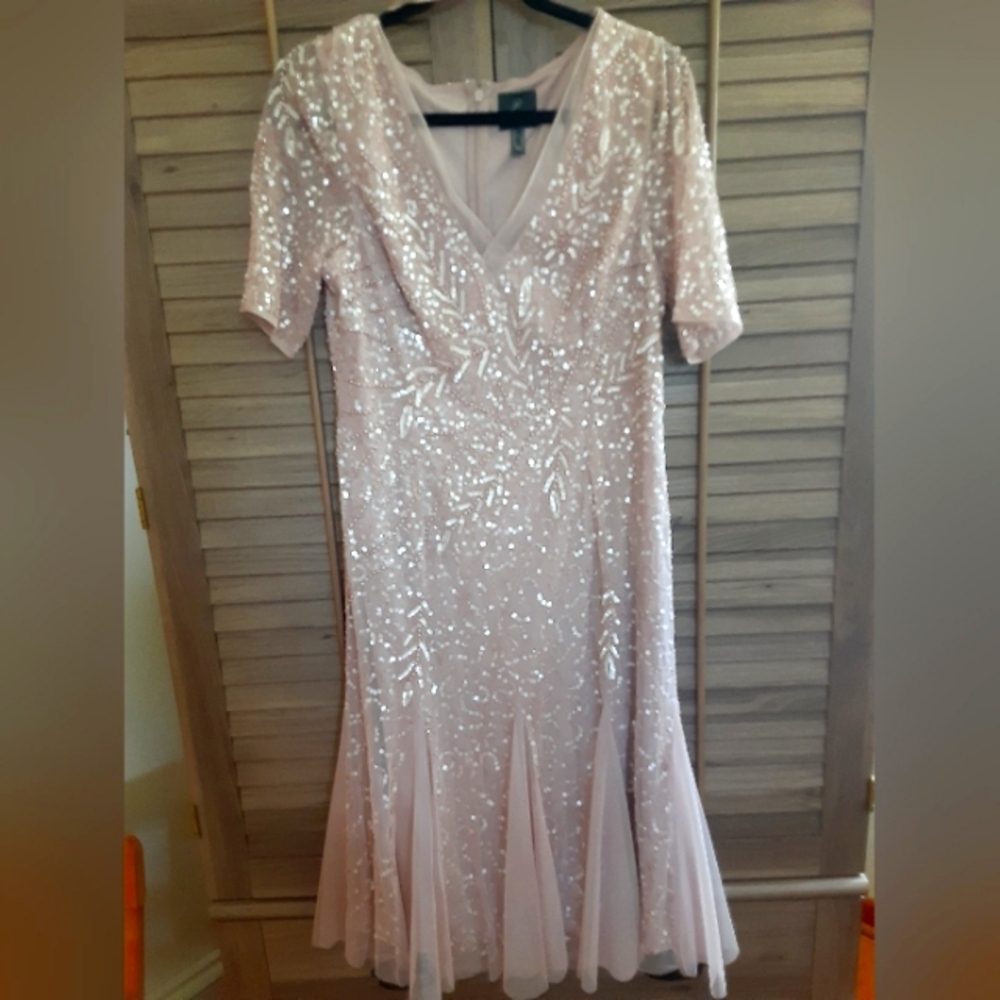 Adrianna Papell tea length beaded dress
